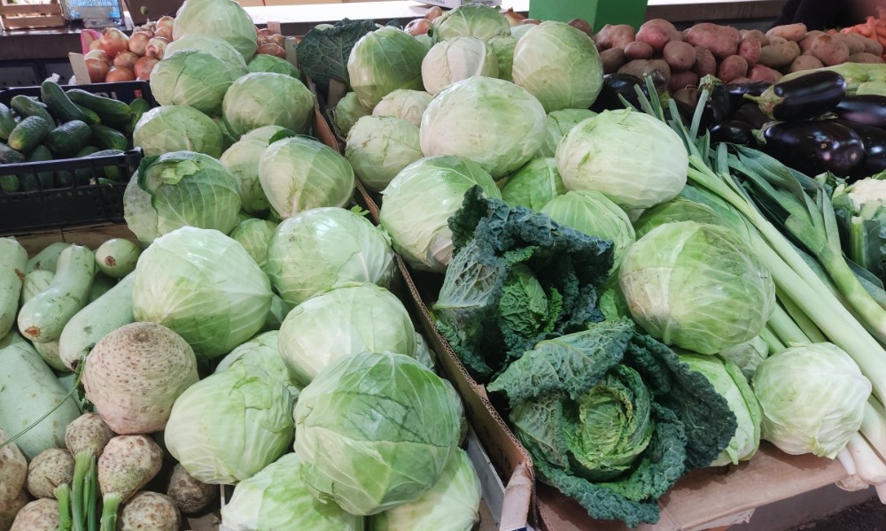 Bure kiselog kupusa biće “šok” za novčanik: Paprena cijena za kilogram na Tržnici FOTO