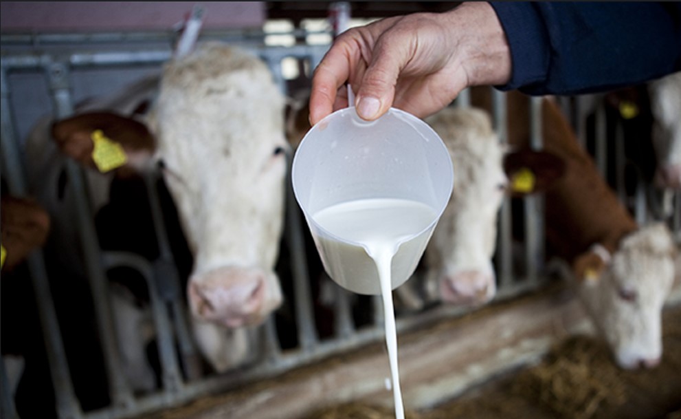 Kuzmićeva nakon protesta mljekara: Tražimo rješenje za otkup i cijenu zbog poteza “Mlijekoprodukta”