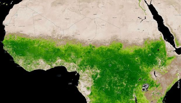 Zbog promijenjenih vremenskih prilika Sahara ozelenila VIDEO