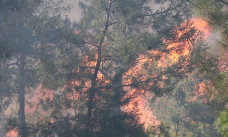 Velika šteta načinjena: Požar u Srebrenici i dalje aktivan, na Majevici stavljen pod kontrolu