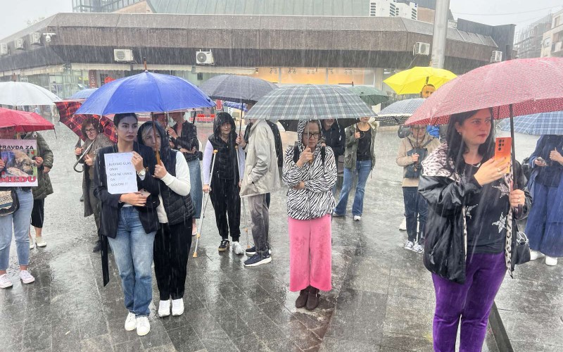 Protest volontera u Banjaluci: Grad ne vodi računa o bezbjednosti životinja, azilu i pojavi zaraznih bolesti