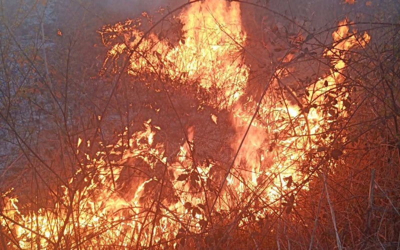 Vatra 80 metara od kuća: Požar u Srebrenici se rasplamsao, potrebno više ljudi na gašenju