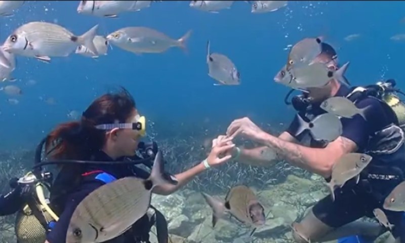 Fenomenalni kadrovi: Zaprosio djevojku dok su ronili, prizor je predivan VIDEO