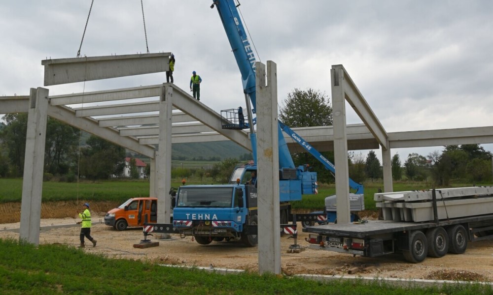 Udružili snage: Braća u BiH podižu farmu vrijednu više od milion KM
