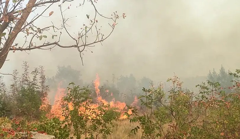 Situacija kod Trebinja ozbiljna: Požar u selu Trebijovi se širi