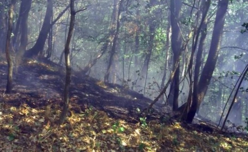 Helikopteri pozvani u pomoć! U Srpskoj aktivno pet požara, prioritet rejon Majevice