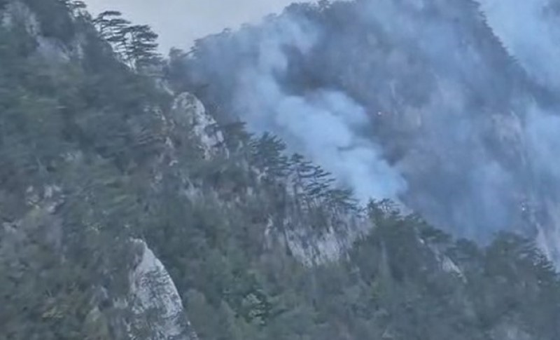 I dalje gori u Nacionalnom parku “Drina”! Situacija alarmantna, očekuje se helikopter