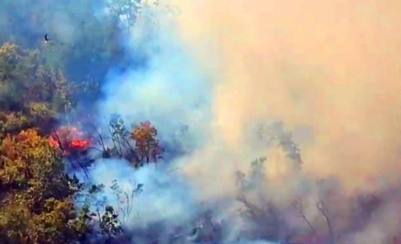 Spriječeno širenje vatre ka kućama: “Stotinu ljudi noćas je dežuralo i gasilo požar”