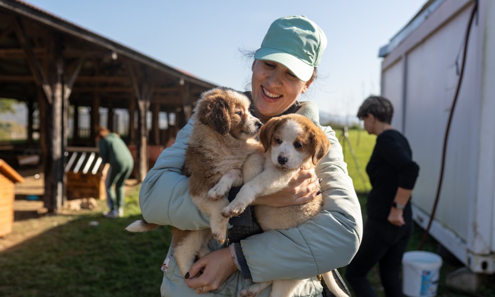 Pružite nekom od psića topli dom: Sjajan odziv na radnu akciju u azilu na Manjači