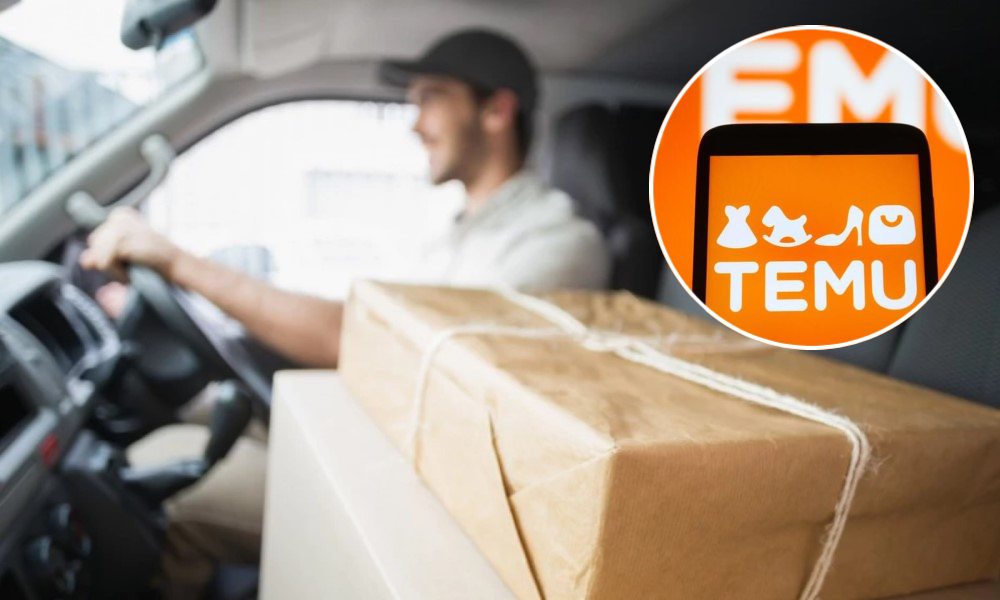 Carina koči, ali kupci ne odustaju: Temu već “zaposlio” nove dostavljače u BiH FOTO