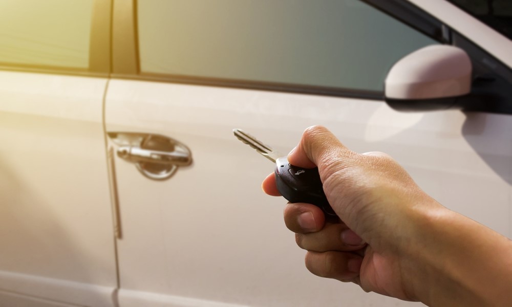 Naslovna slika br 51