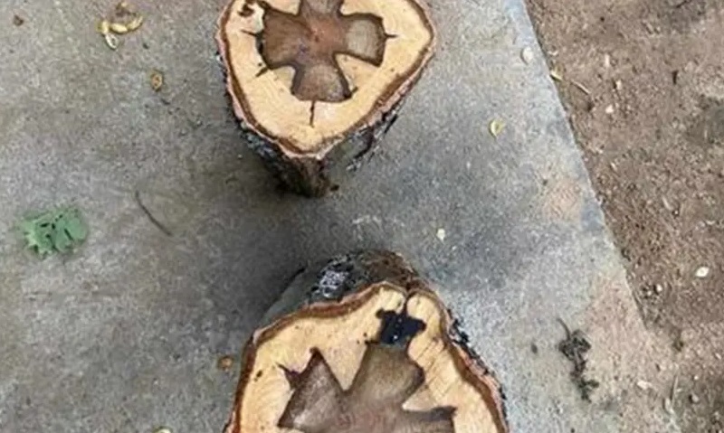 Čudo u porodici Simić: Nakon što su prerezali drvo za ogrijev ukazao se krst FOTO