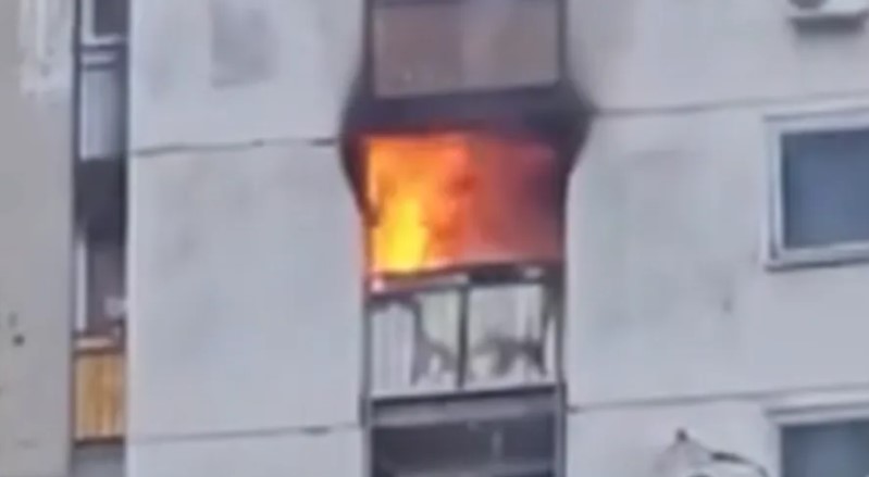 Vatrogasci gasili stravičan požar: Palila svijeću na Zadušnice, pa uhapšena