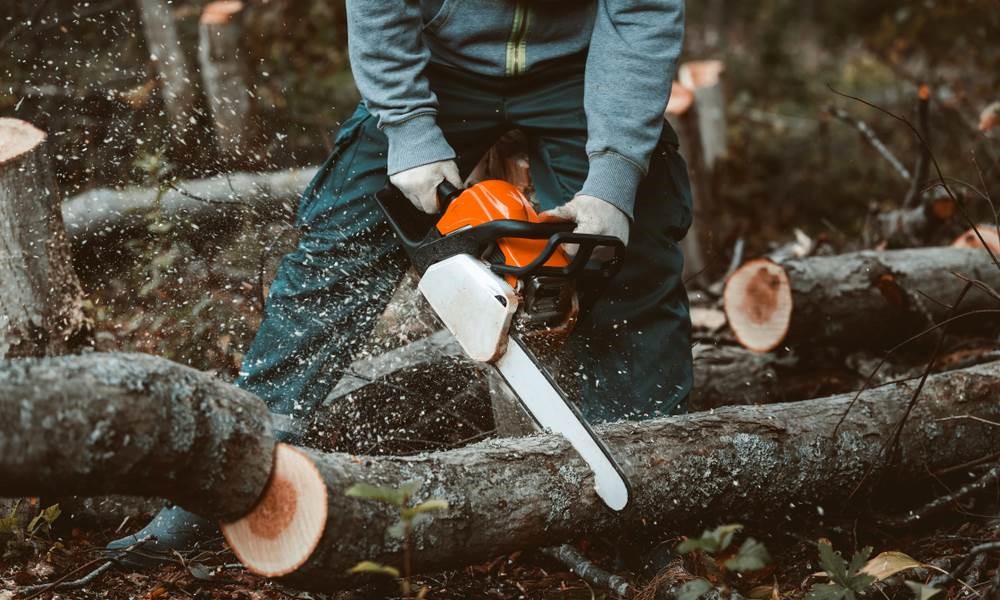 Udarilo ga već oboreno drvo: Poznat identitet radnika koji je stradao