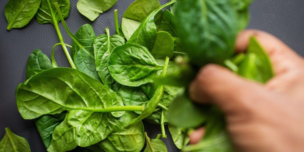 Isporučen na tržište BiH: Kadmijum u smrznutom spanaću iz Belgije