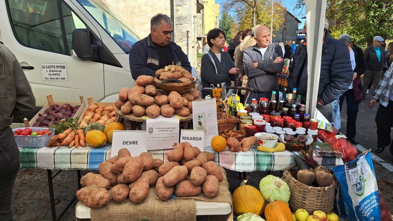 “Dani glamočkog krompira”: Najteži krompir u vlasništvu porodice Radumilo