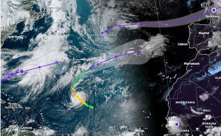 Čuda se dešavaju: Dječak (9) pronađen u šumi poslije nedjelju dana – preživio napad uragana