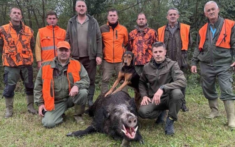 Vepra otkrili tragovi u kukuruzu: Odstrijelio kapitalca teškog 210 kg