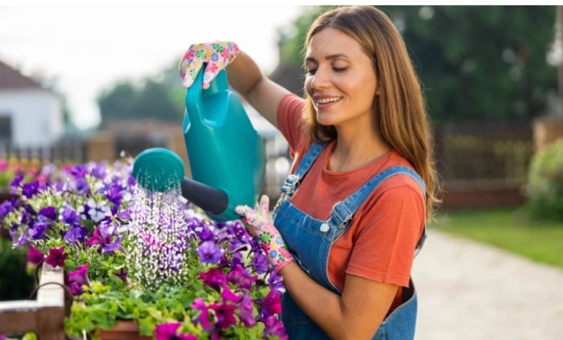 Kako da vam cvijeće bude bujnije bez hemije? Prirodni trikovi za zdravije sobne biljke