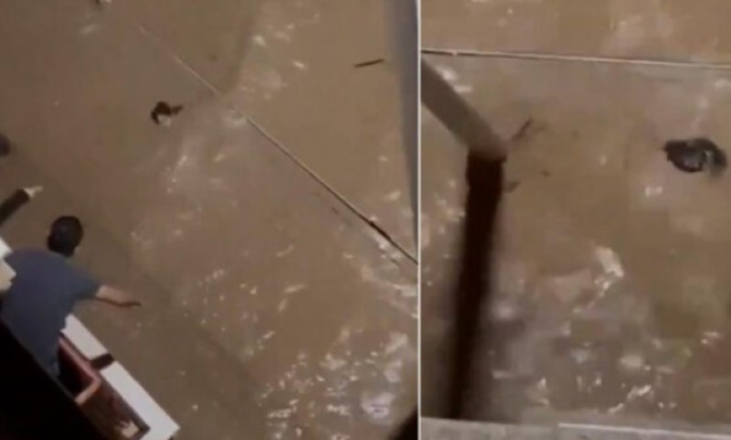 Zastrašujuće! Bujica nosi ženu, ona vrišti  i zove u pomoć, a ljudi s balkona mogu samo da gledaju VIDEO