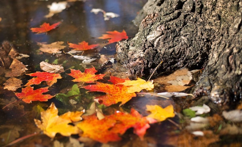 Oblačno, svježije i uglavnom suvo: Prognoza o vremenu u BiH za četvrtak
