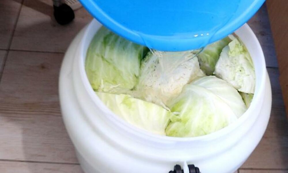 Sezona zimnice je počela: Kako izabrati najbolji kupus za kiseljenje i prepoznati koji je pun hemije