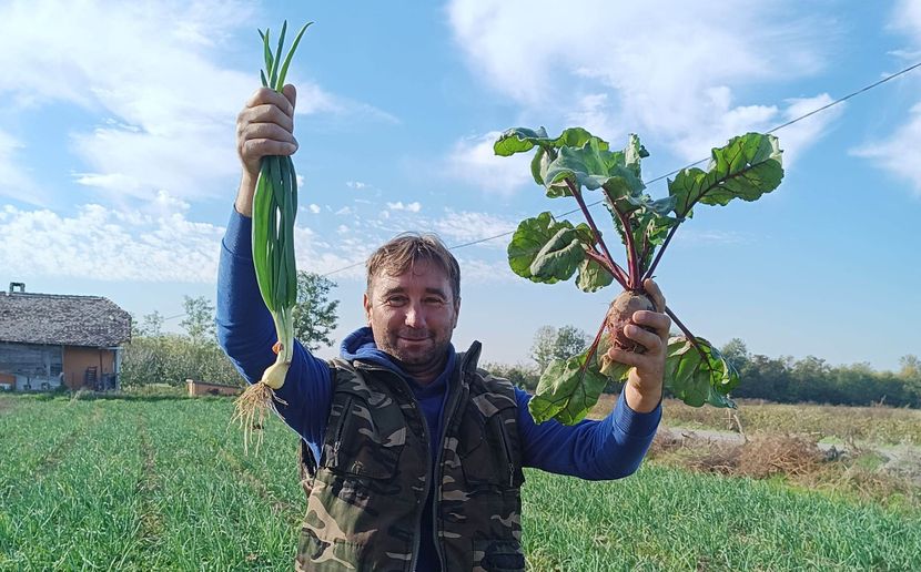 Klima se mijenja, ovo je dokaz! Daliboru niklo povrće usred jeseni: Cijela njiva se zeleni