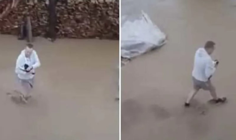 Dirljiv prizor iz BiH: Muškarac usred poplave spasio mačku od sigurne smrti VIDEO