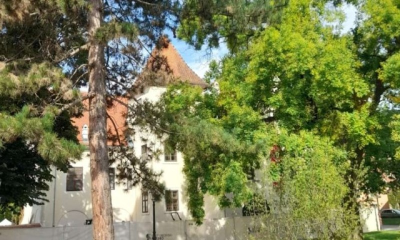 Smrtonosna buktinja u stanu: U požaru poginula jedna osoba, drugu spasili vatrogasci