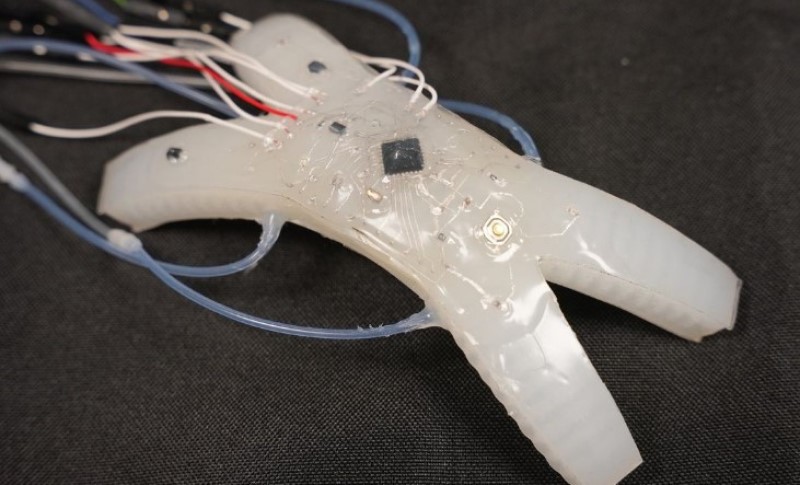 Čupa sebi nogu samo da preživi i ide dalje: Inženjeri osmislili jedinstvenog robota