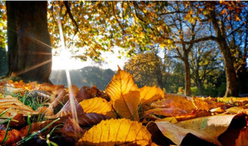 Danas umjereno oblačno uz sunčane periode i toplije