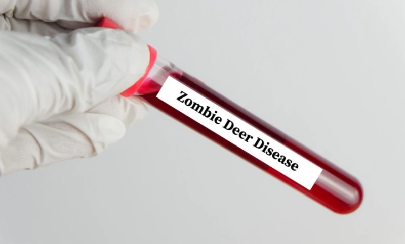 Pojavila se “zombi” bolest nakon 20 godina: Ljudima stiglo hitno upozorenje