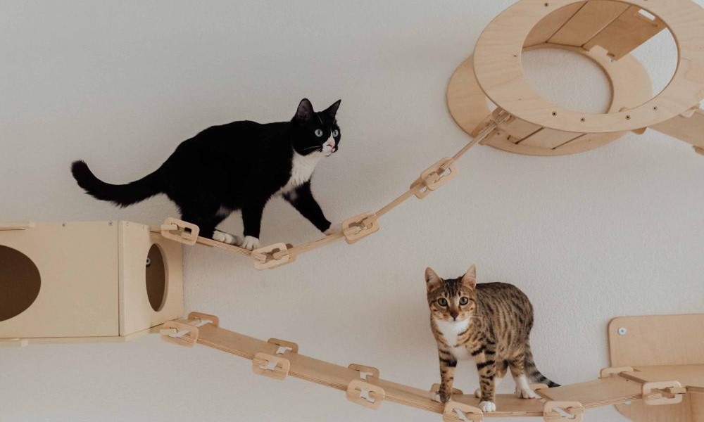 Naslovna slika br 30