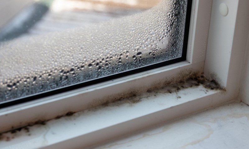 Vlaga poslije kiše u stanu? Evo kako da spriječite buđ i neprijatne mirise