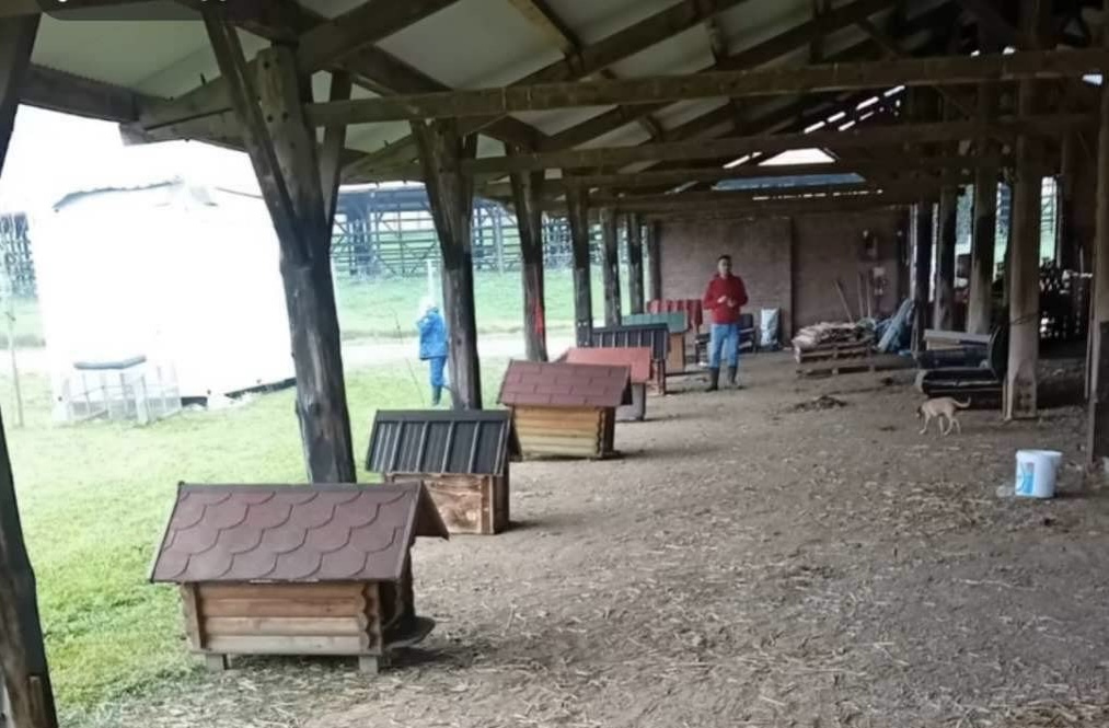 Volonteri o novim objektima u azilu na Manjači: Očekujemo početak radova