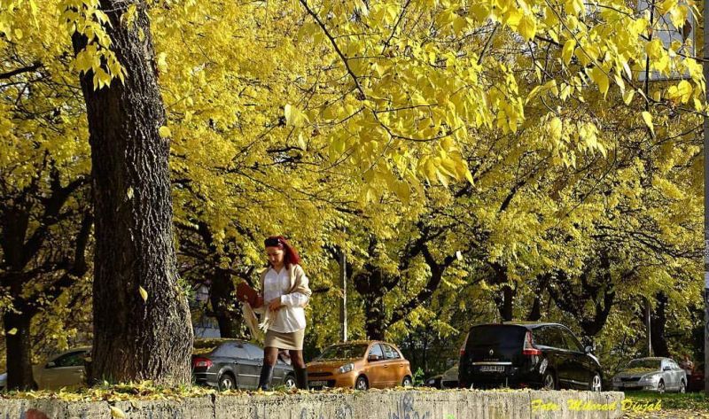 Toplije nego prethodnih dana: Danas sunčano uz promjenljivu oblačnost