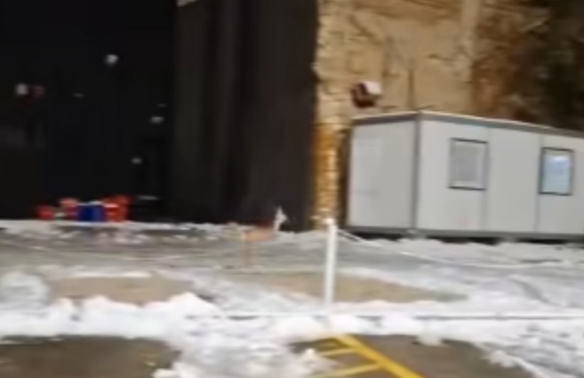 Neobičan prizor: Lane prošetalo centrom Banjaluke VIDEO
