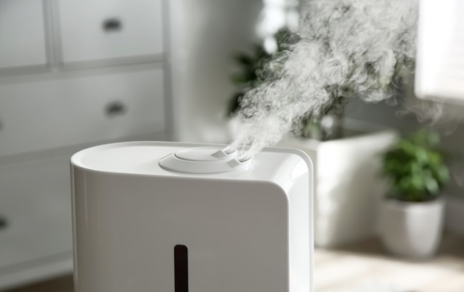 Ovlaživači vazduha imaju svojih prednosti, ali nose i određene rizike