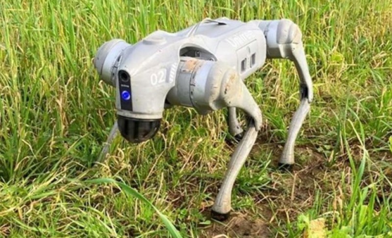 Najnoviji eksperiment naučnika: Robot pas pomaže engleskim poljoprivrednicima