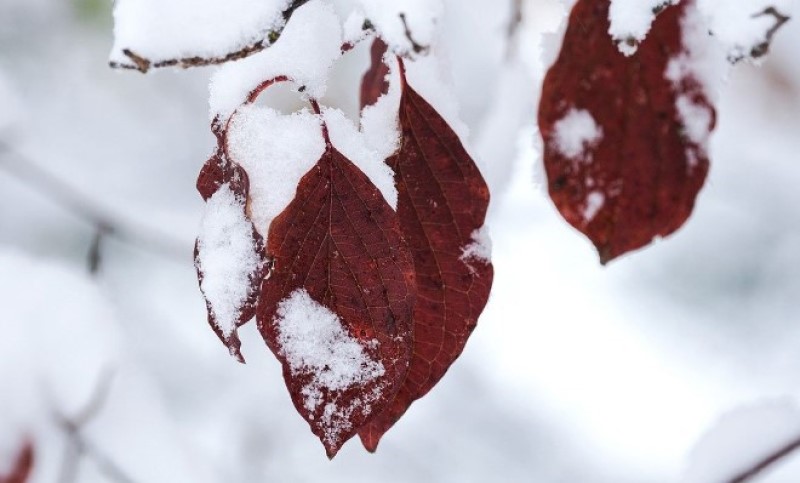 Snijeg prekrio planine u Sloveniji: Izdato narandžasto upozorenje