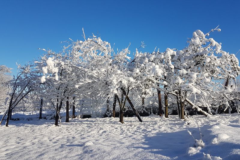 Danas pretežno sunčano i toplije u odnosu na prethodni dan