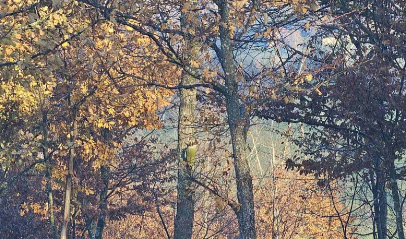 Do kraja sedmice sunčano i toplo do 23 stepena: Od naredne srijede osjetan pad temperature