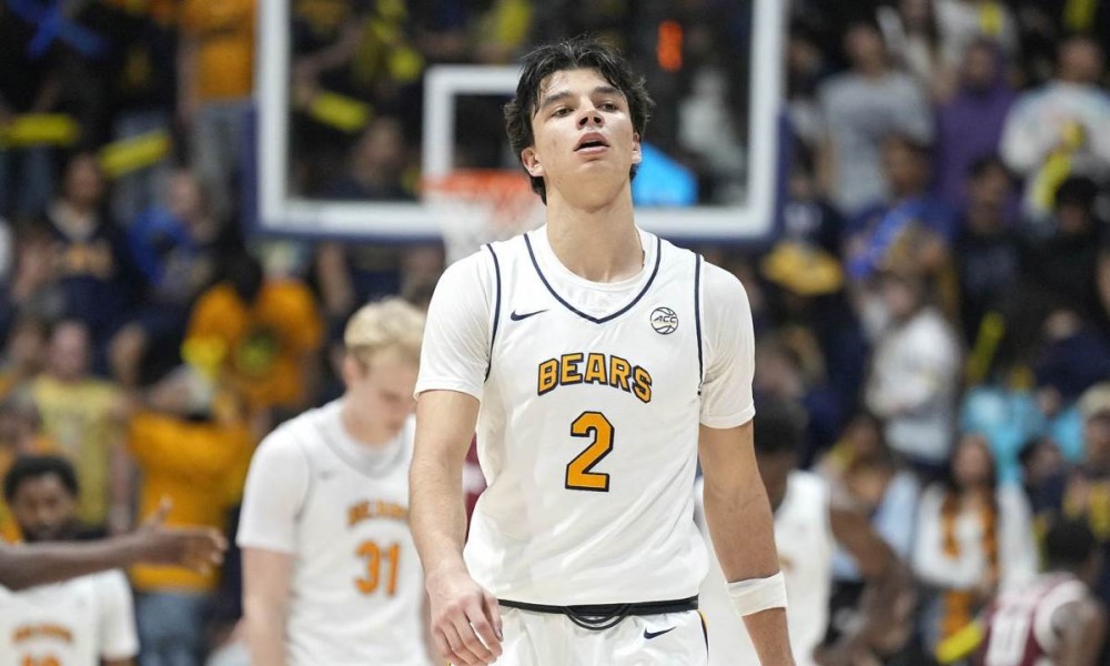 Naslovna slika br 42