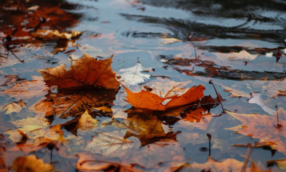 Produženo ljeto u septembru? Objavljena detaljna vremenska prognoza za jesen i zimu