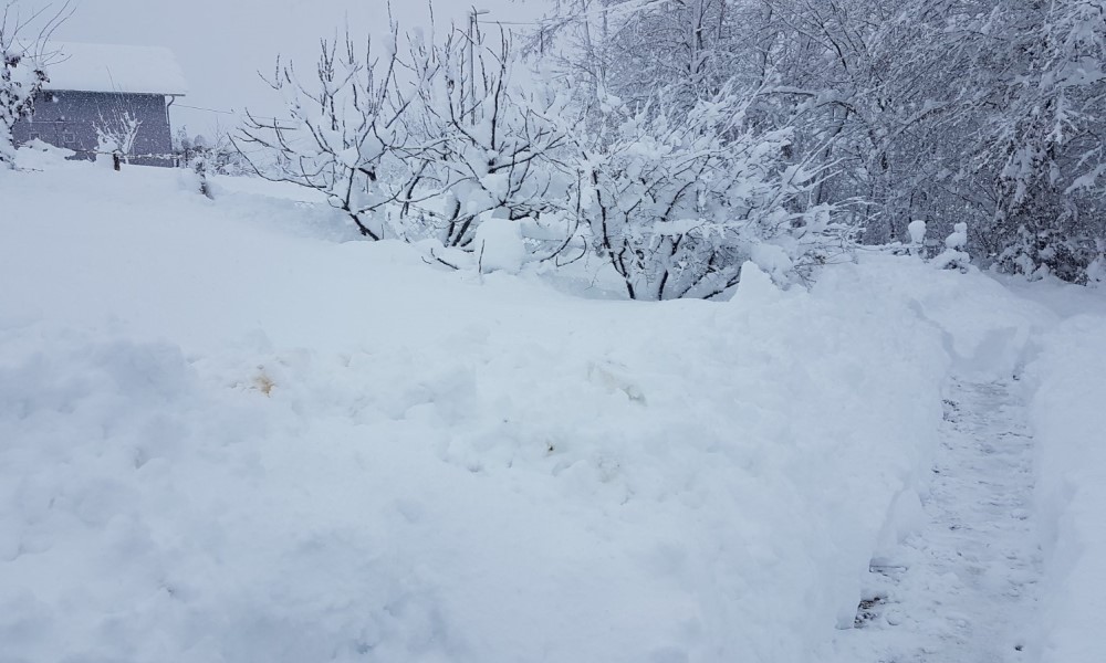 Neki heroji ne nose plašt: Ovo je Banjalučanin koji je spasao izgubljenu djecu u šumi