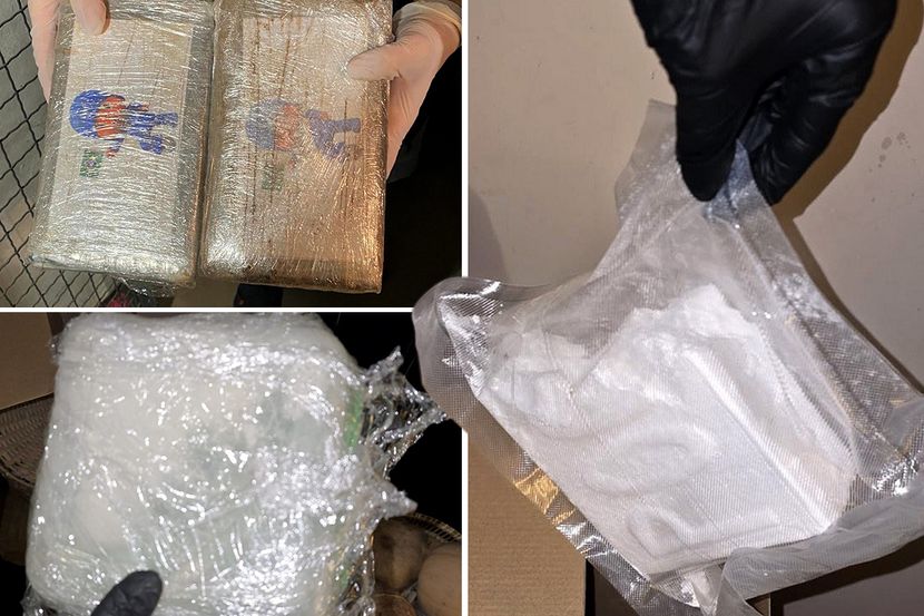Uhapšene dvije osobe: Zaplijenjeno 2,5 kilograma kokaina u Zemun Polju