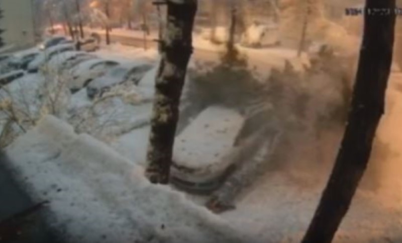 Dramatično u Banjaluci: Drvo palo na pješaka, na sreću izbjegnuta tragedija VIDEO