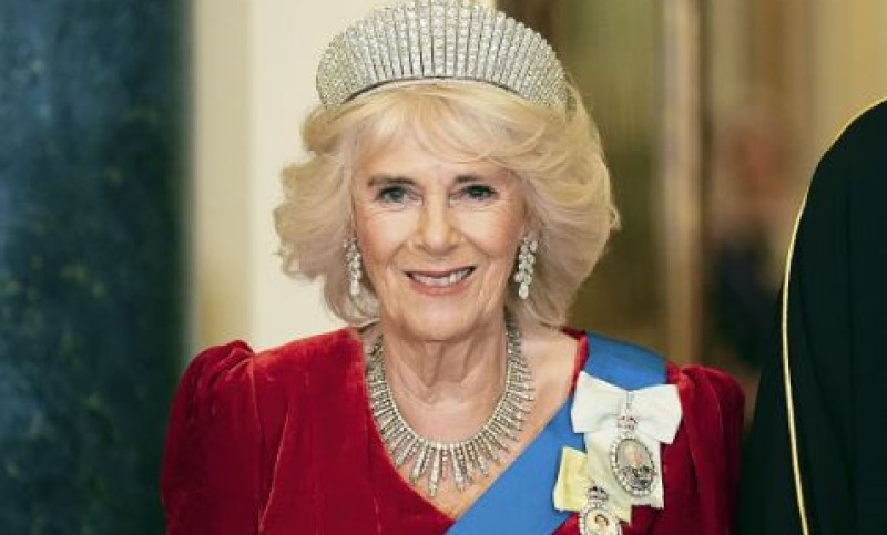 Kraljica Kamila o napadu u vozu: Skinula sam cipelu i udarila ga u međunožje