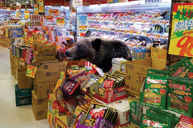 Poslije tri dana skrivanja: Medvjed ubijen u supermarketu nakon napada na radnika