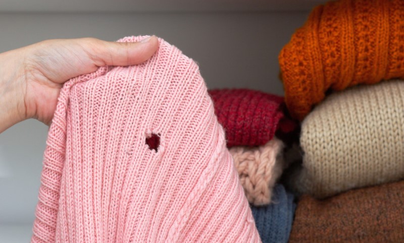 Sigurnije za zdravlje: Kako se riješiti moljaca na prirodan način